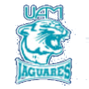 Jaguar UAM